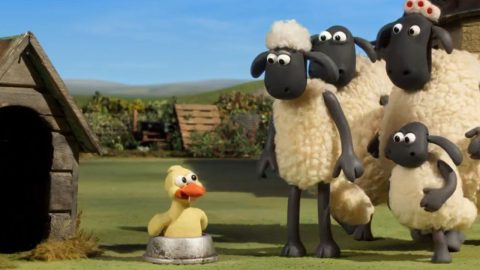 Bacek Jon: Ovca, ovca, gos, animirana risanka za mlade